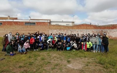 Puesta en marcha de nuestro oasis