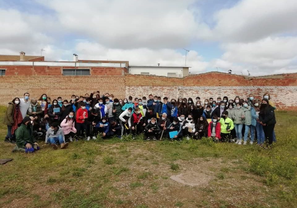 Puesta en marcha de nuestro oasis