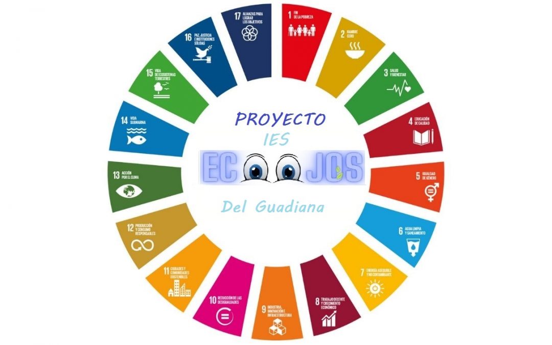 Vídeo resumen del proyecto
