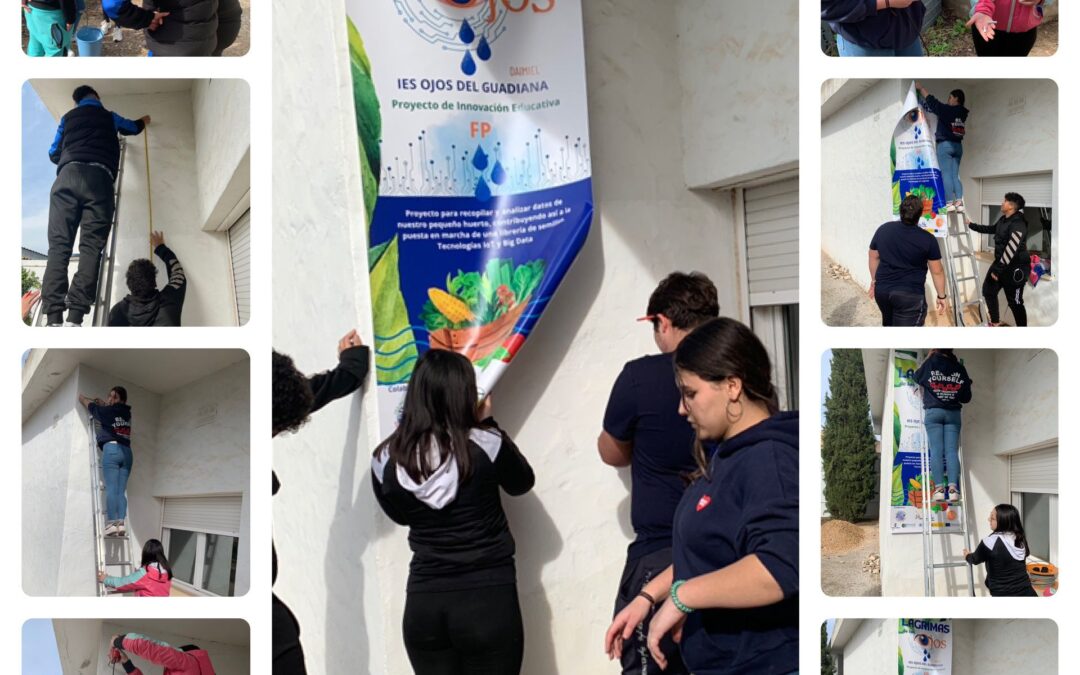 Trabajo en Equipo