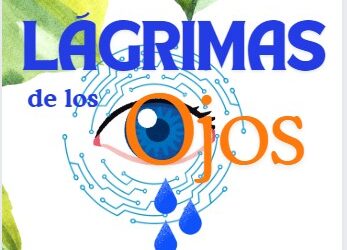 Innovación en acción de nuestro huerto urbano
