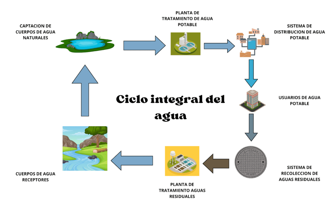 Descubriendo el ciclo integral del agua en Daimiel